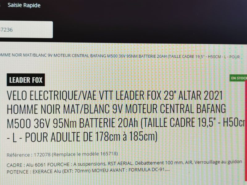 LEADER FOX ALTAR 29¨